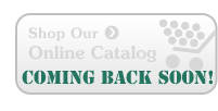 Aslin-Finch Online Store