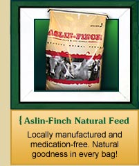 Natural Animal Feed